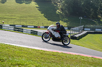 Vintage-motorcycle-club;eventdigitalimages;mallory-park;mallory-park-trackday-photographs;no-limits-trackdays;peter-wileman-photography;trackday-digital-images;trackday-photos;vmcc-festival-1000-bikes-photographs